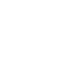 icon2 icon2
